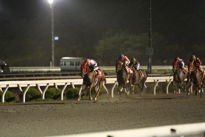 2009年7月25日（土） 高知競馬 9R 芋けんぴ特別 C1 選抜馬_a0077663_23351468.jpg