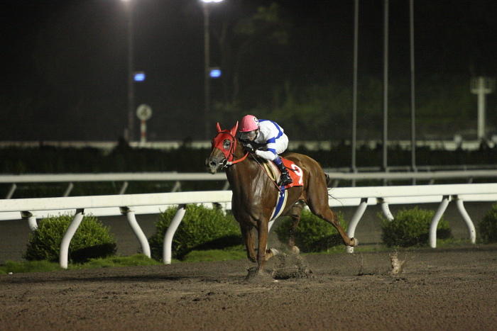 2009年7月25日（土） 高知競馬 9R 芋けんぴ特別 C1 選抜馬_a0077663_23352247.jpg