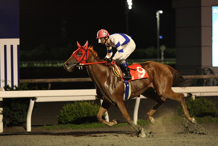 2009年7月25日(土) 高知競馬 9R 芋けんぴ特別 C1 選抜馬_a0077663_23352979.jpg
