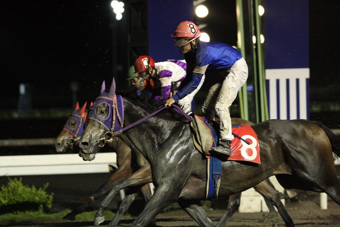 2009年7月25日(土) 高知競馬 9R 芋けんぴ特別 C1 選抜馬_a0077663_23353841.jpg