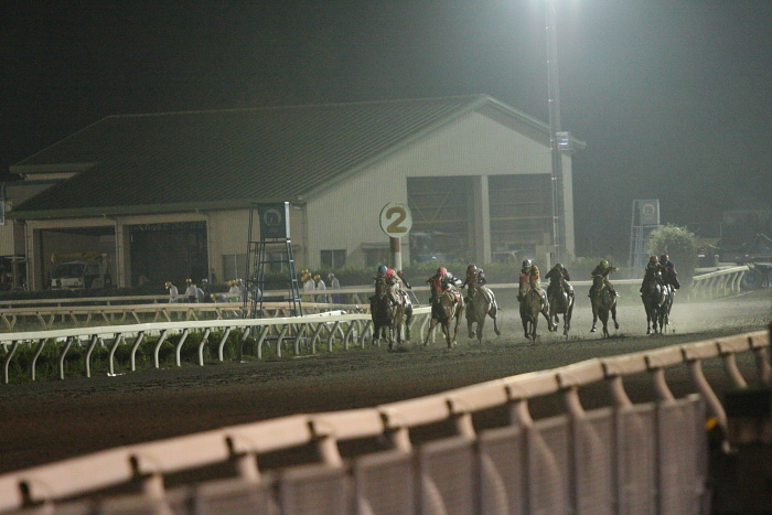 2009年7月25日（土） 高知競馬 9R 芋けんぴ特別 C1 選抜馬_a0077663_233553.jpg
