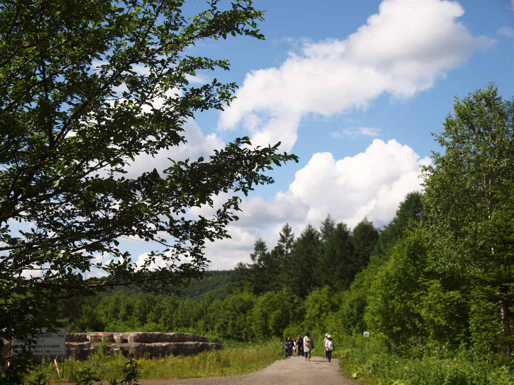 b0175163_0495586.jpg