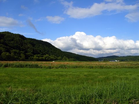 b0130166_12403783.jpg
