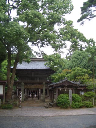 糸島　　桜井神社　　　制作工程（前半）_f0176370_13421928.jpg