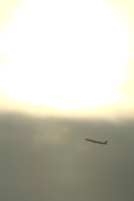 a0117972_20174576.jpg