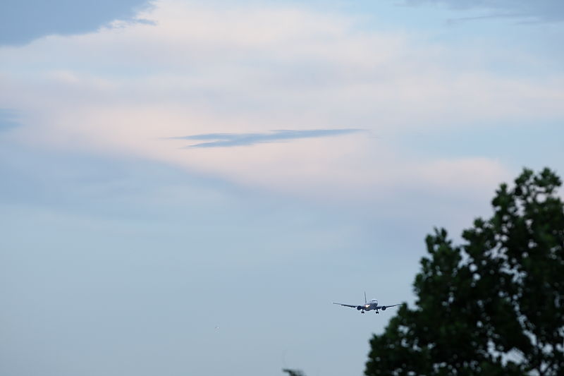 a0117972_2084330.jpg
