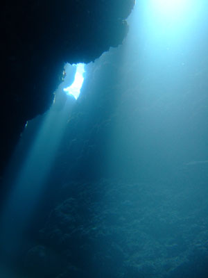 b0033573_10393225.jpg