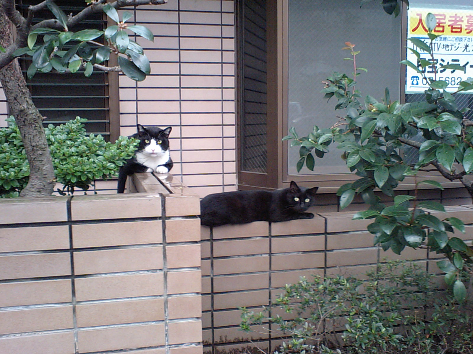 c0038678_1222430.jpg
