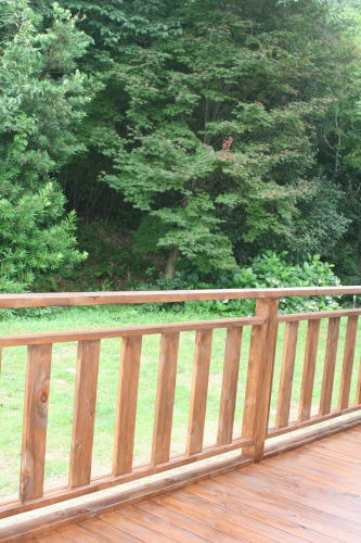 b0136683_9241064.jpg
