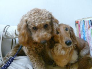 2009年7月25日 リノヴェーションということ。。。_b0098584_10543368.jpg