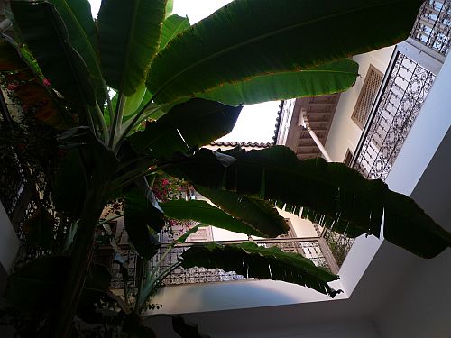 c0102085_10215615.jpg
