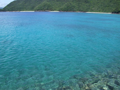 お釈迦様の手の中で_e0028387_0424654.jpg