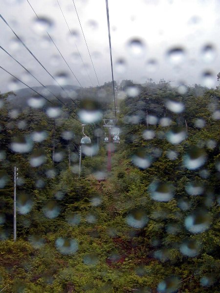 c0057390_5435445.jpg