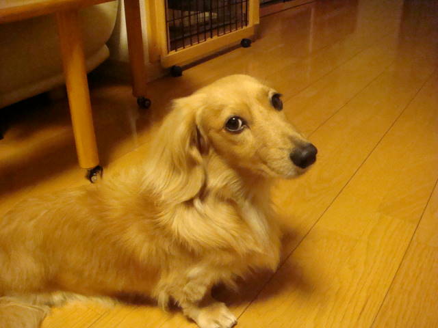 d0098295_0201677.jpg