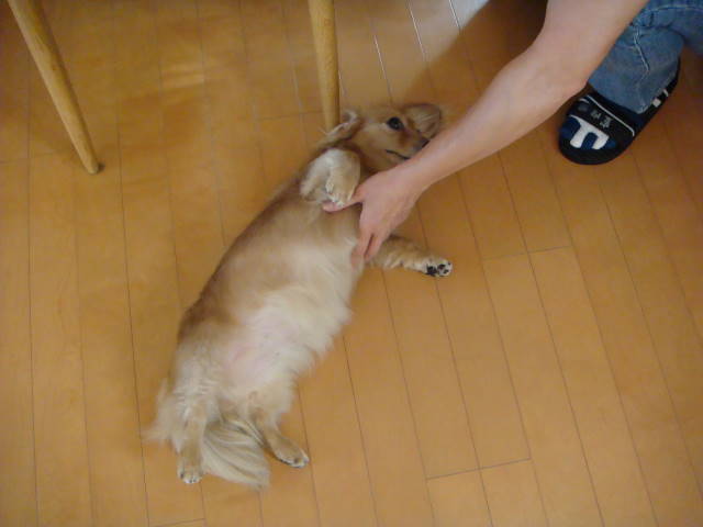 d0098295_22435089.jpg