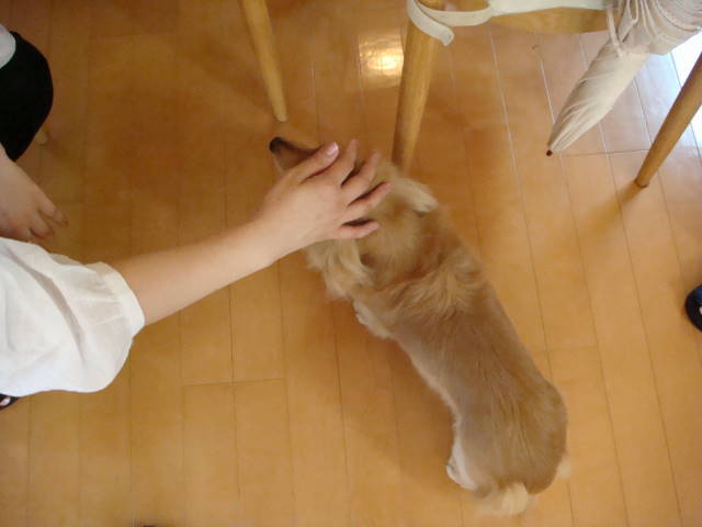 d0098295_22441657.jpg