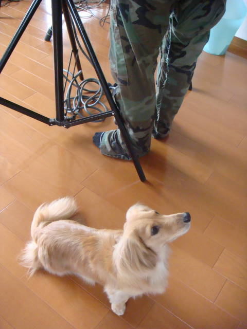 d0098295_22472481.jpg