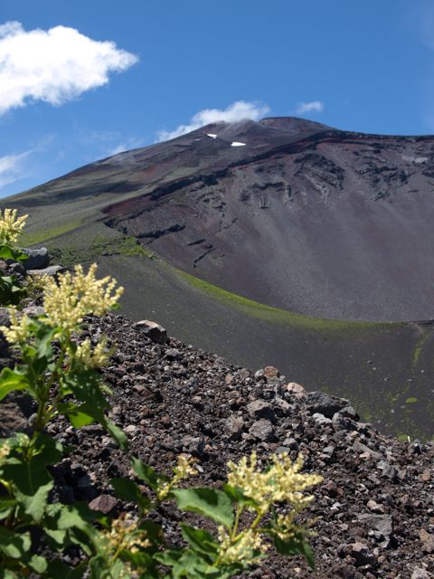 お天気に恵まれた富士山_c0007501_22565184.jpg