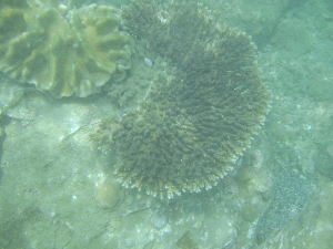 引き続き かごしま観光_c0121102_2222571.jpg