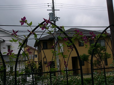 a0123003_16483878.jpg