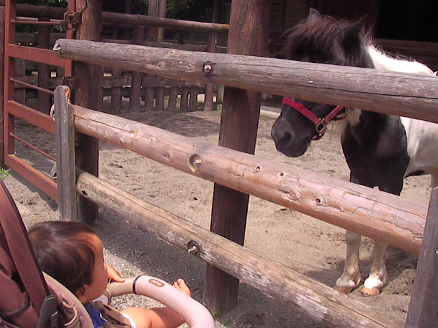 f0038407_2246376.jpg