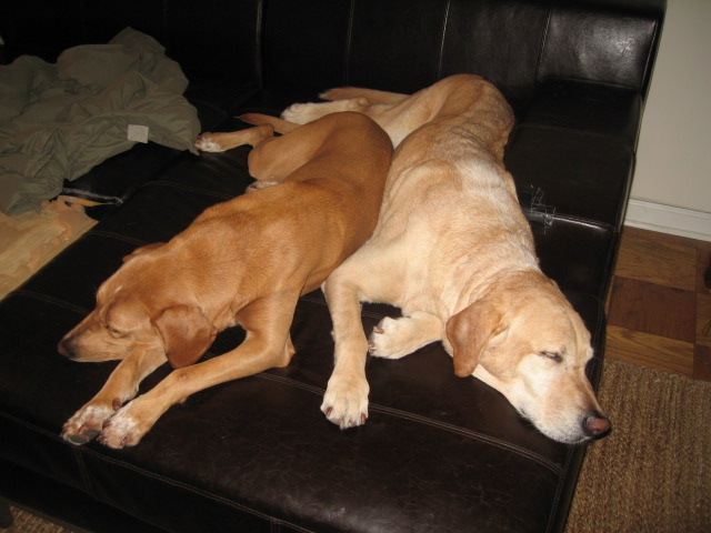 f0036409_715986.jpg