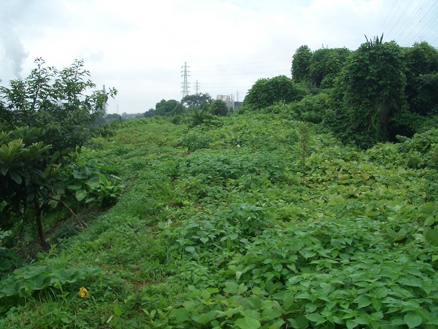 f0141310_232742.jpg
