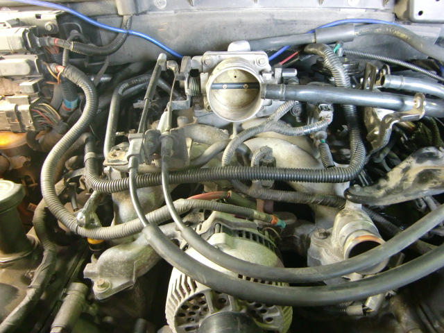 c0118011_12424132.jpg
