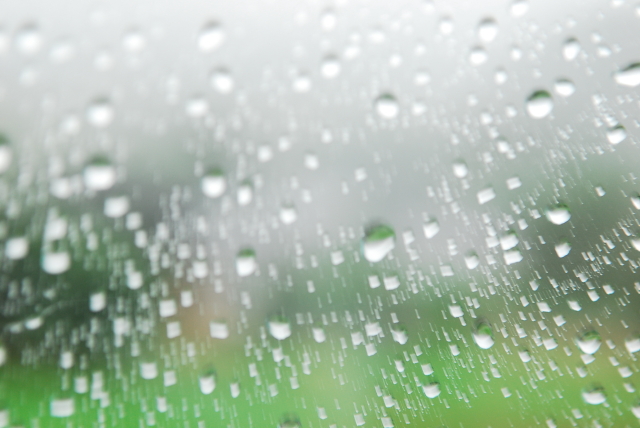 今日も雨_d0047811_923282.jpg