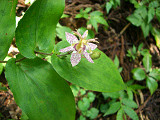 b0168412_22571661.jpg