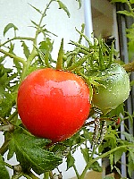 e0114015_2122833.jpg