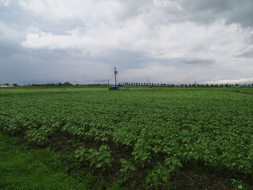 c0115616_701366.jpg