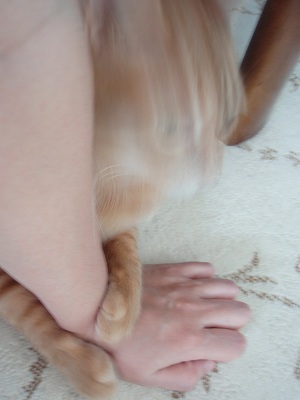c0145016_2126893.jpg
