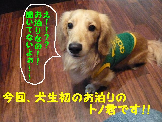 5連続紹介！！_b0130018_18382932.jpg