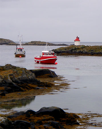 ノルウエーの島 第1回_d0062721_6285779.jpg