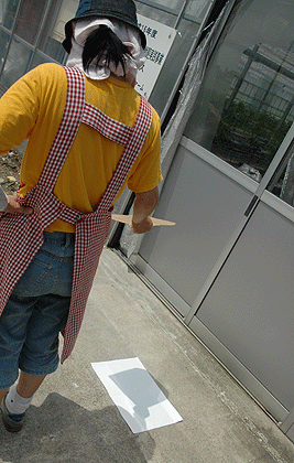 b0178923_15135026.gif