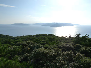 d0023725_14523649.jpg