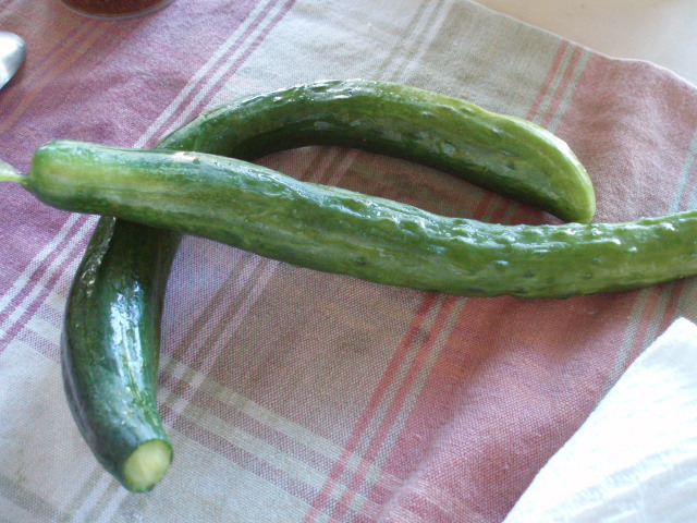e0177330_8101661.jpg