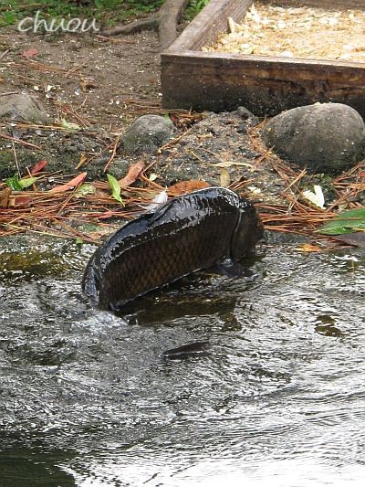 f0146531_012631.jpg