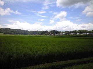 b0180433_226114.jpg