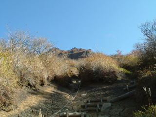 久住山、星生山_c0077338_22555198.jpg