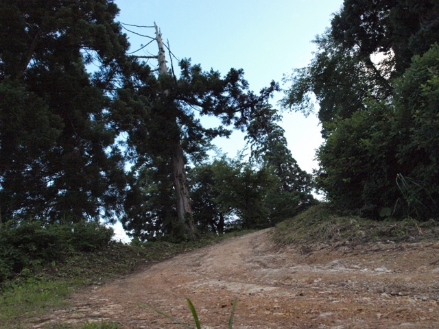 パパの出張　米沢編２日目　御成山公園からの夜景_b0080342_14134816.jpg