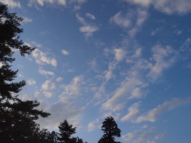 パパの出張　米沢編２日目　御成山公園からの夜景_b0080342_14165911.jpg