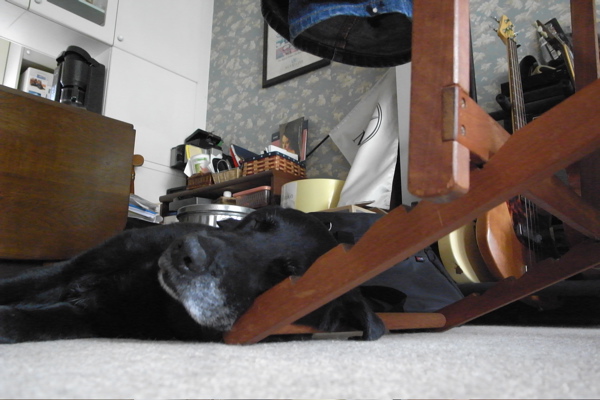 c0039145_051052.jpg