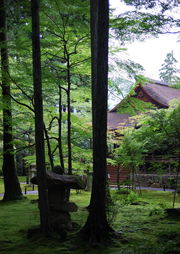 続、大原、三千院_c0171945_2216735.jpg