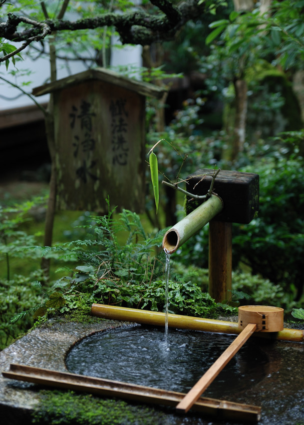 続、大原、三千院_c0171945_22171382.jpg
