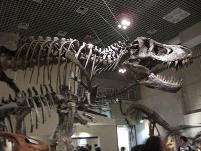 e0105846_18251588.jpg