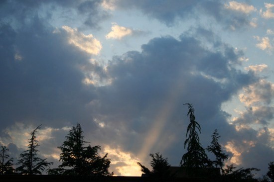 e0126350_035549.jpg