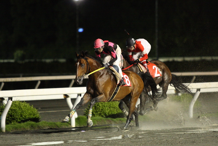 2009年7月26日（日） 高知競馬 9R 納涼特別 B1 選抜馬_a0077663_22443927.jpg