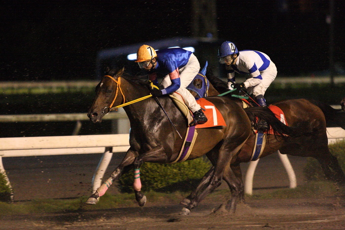 2009年7月26日（日） 高知競馬 9R 納涼特別 B1 選抜馬_a0077663_22444668.jpg